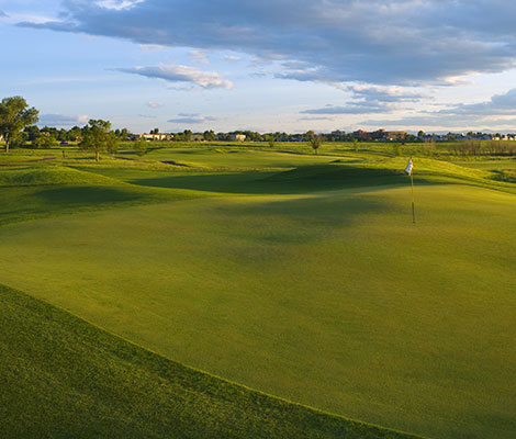 Start Golfing