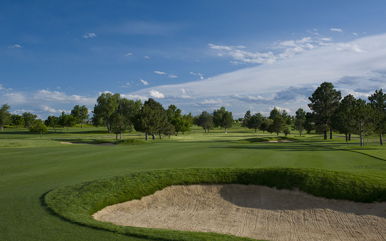 This is Golf